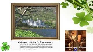 Irish Celtic Counted Cross Stitch Patterns Kits amp Downloads [upl. by Jory]