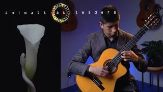 The problem of other minds Animals as Leaders  Classical guitar  Alejandro Aguanta [upl. by Frankhouse]