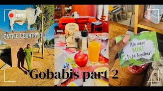 I want to relocate to GobabisPart2 SoSafeCheapFood🇳🇦 [upl. by Orvan]