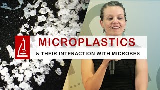 Microplastics in the Water and their Interaction with Microbes [upl. by Myra]