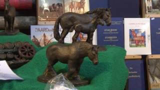 KVTH Hengstenkeuring 2017 Trekpaarden [upl. by Ahtan]