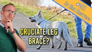 Dog Cruciate Ligament Treatment  Should You Buy a Knee Brace  Dog Health Vet Advice [upl. by Ludwig]