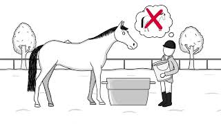 How to treat laminitis for your horse [upl. by Engen]