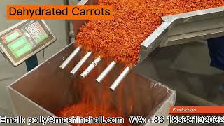 Dehydrated Carrots Supplier carrot driedcarrot [upl. by Llednik]