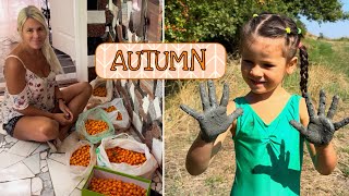 Осень на даче  A Cozy Autumn Day at Home  Cottage Life Vlog [upl. by Ringe562]