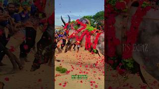 1848 Vathi Raid  Mass Video jallikattu salemking shortsfeed shortsfeed trending video [upl. by Elleunamme]