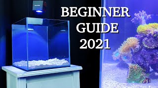 No money no problem  REEF TANK BASICS  quothow to start a saltwater aquariumquot BEGINNER GUIDE 2021 [upl. by Alywt]