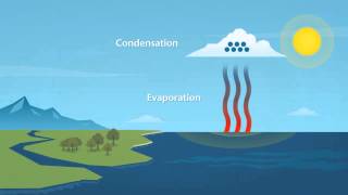 How does rain form and what is the water cycle [upl. by Ilat]