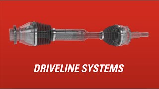 Nexteers Driveline Systems [upl. by Enilrahc375]