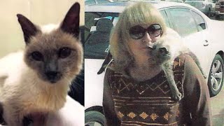 En 1986 elle a capturé une photo de son chat Maintenant 30 ans plus tard jai été choqué en [upl. by Epul317]