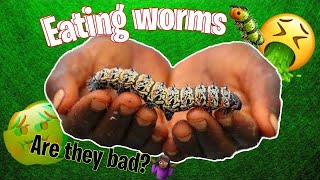 Mopane worms challenge🐛 The Epic life of Lee [upl. by Berte27]