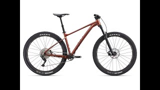 2022 GIANT FATHOM 2 29ER REVIEW  6 MONTHS OF RIDING [upl. by Amees]