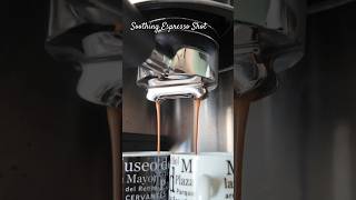 Espresso Shot in Slo Mo espresso ninjaluxecafe osmopocket3 [upl. by Nairim]