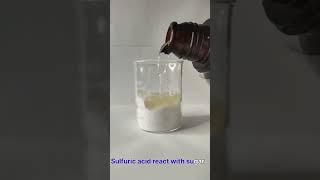 Sulfuric acid reacts with sugar h2so4 experiment chemical reaction goviral laboratory fyp [upl. by Ardnod268]