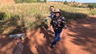 Giving high fives to STRANGERS Red Rocks Open Space [upl. by Ajssatan]