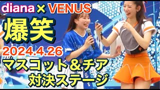 【爆笑】ディアーナdiana × VENUS マスコット＆チア対決ステージ ベイスターズ × ジャイアンツ チア 2024426 [upl. by Dleifniw871]