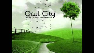 Owl City  Alligator Sky [upl. by Virgy]