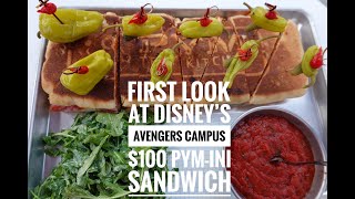 Disneylands Avengers Campus 100 Pymini Sandwich  MyHealthyDish [upl. by Marcela]