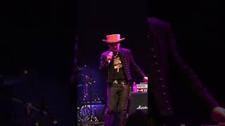 Adam Ant  Beat My Guest LIVE Clip  Albuquerque New Mexico April 24 2024 concert livemusic [upl. by Cralg]