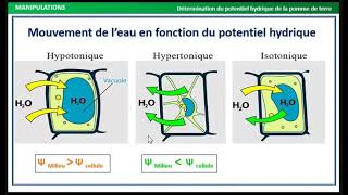 TP Relation plante et eau  Physiologie Végétale S4 [upl. by Thurmann]