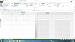 Creating Work Overview Reports and Earned Value Reports in MS Project [upl. by Eniawed]