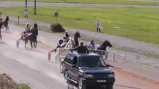 AMMAN VALLEY HARNESS RACES 1352018 GRADE A RACE [upl. by Wehttam101]