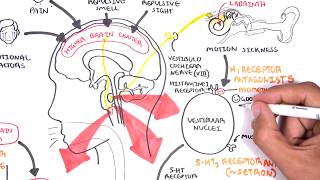 Pharmacology  Antiemetics [upl. by Assele221]