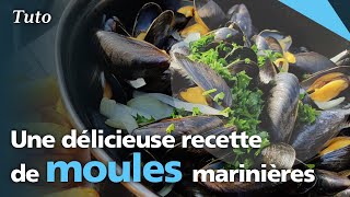 Une délicieuse recette de moules marinières [upl. by Aicnarf]