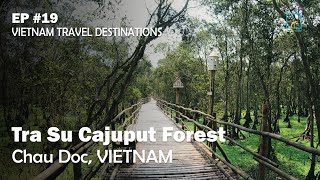 Tra Su Cajuput Forest in Chau Doc Vietnam  EP 19 Vietnam Travel Destinations [upl. by Daryn792]