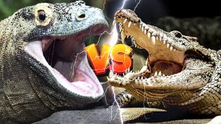 DRAGÃO de KOMODO vs CROCODILO   DESCUBRA quem VENCE [upl. by Nerin188]