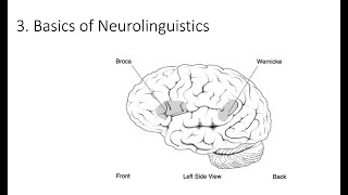 63 Basics of Neurolinguistics Fundamentals of Cognitive Neuroscience Course Session 6 Part 3 [upl. by Dleifyar]