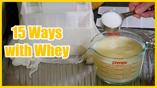 15 Ways with Whey  Using A Cheesemaking Byproduct [upl. by Ilah]