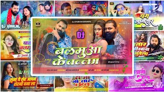 Bhojpuri Song Dj Remix 2024  Nonstop Bhojpuri Dj Song  bhojpuri dj song  Bhojpuri Mashup Song [upl. by Aseneg]