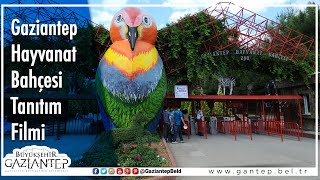 Gaziantep Hayvanat Bahçesi Tanıtım Filmi [upl. by Enyamrahs]