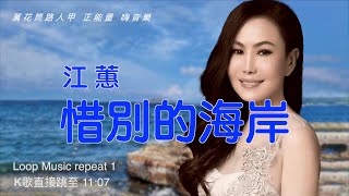 惜别的海岸 台語歌 江蕙歌曲 [upl. by Eelesor]