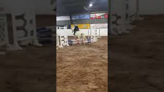 Loved jump 7 showjumping capcut equestrian [upl. by Edrick]