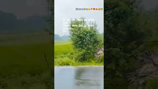 Mohabbat barsa dena tum song love music viralshort subscribemychannel hindihitsong [upl. by Aaren85]