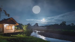 Relaxing Piano Music and Night Nature Sounds with Crickets Sleep Music Stress Relief Fall Asleep [upl. by Annaer]