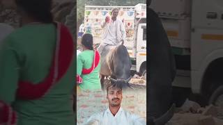 Deshi ka Power hai bhai 😱🤣 reels tranding viral shortvideos funny funnyvideo funnyshorts [upl. by Levins]