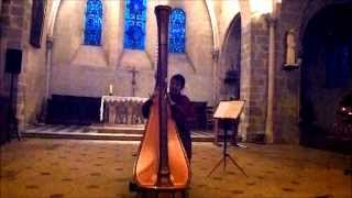 Concert Harpe et Orgue à St PierreLèsNemours [upl. by Todd830]