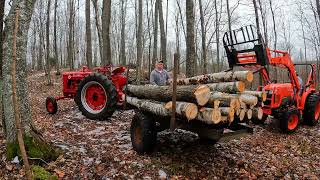 Farmall Super M Log Hauler amp Seniors Stories from the Woods  Memories of How it Used to be Done [upl. by Nehte]