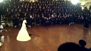 Spinka Rebbi Tangling Kallah at Mitzvah Tantz FUNNY [upl. by Mack]