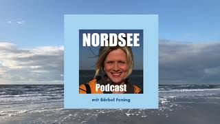 NORDSEE Podcast 6  Büsum  mit Krabbenfischer André Claußen [upl. by Aekahs832]