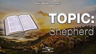 Daily Bible Precepts  Word Topic Shepherd  Part 2 [upl. by Inaffit]