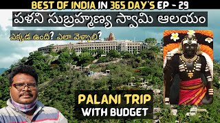 Palani subramanya swamy temple full tour in telugu  Palani temple information  Tamilnadu [upl. by Jennee]