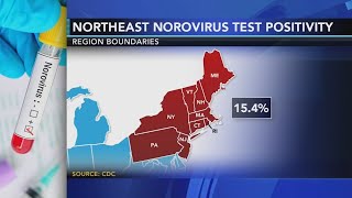 Contagious stomach bug circulating in the Northeast  Know the symptoms [upl. by Niknar]