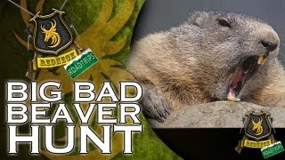 Extreme Airgun Hunting Hunting Beaver with a Daystate Wolverine 303 big bore airgun [upl. by Raphaela394]