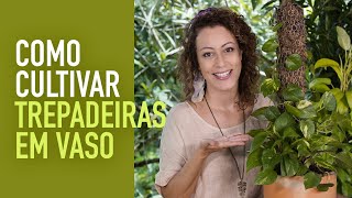 Como FAZER TUTOR para PLANTA TREPADEIRA em VASO [upl. by Euf]