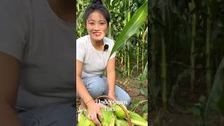 Beautyful Girl Picking Sweet Corn In The Garden corn garden sweetcorn [upl. by Lirrehs693]