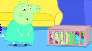 Peppa Pig Goes To Jail  Peppa Pig Video Different Effects [upl. by Yennaiv]